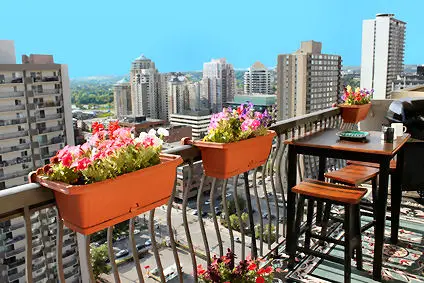 Container gardens among sky scrapers.