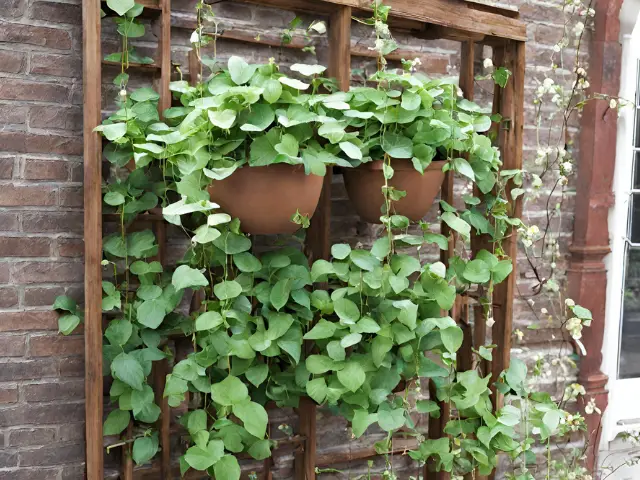 Creative DIY Trellis Designs for Vining Container Plants