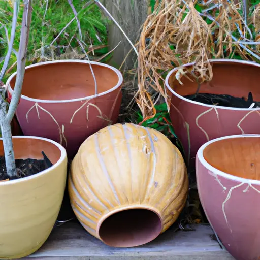 A Beginner's Guide to Container Gardening Bliss