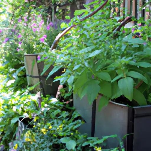 A Green Oasis with Container Gardening: An Urban Dweller's Dream