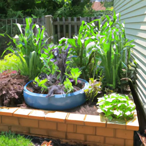 Achieving Edible Landscaping Goals through Innovative Container Garden Design