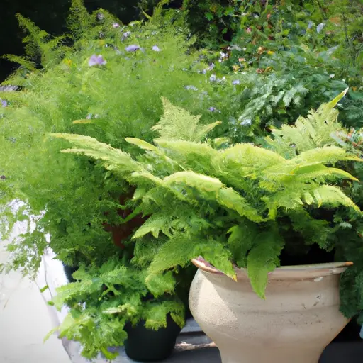 Celebrate Nature's Beauty with a Breathtaking Container Garden