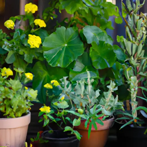 Container gardening