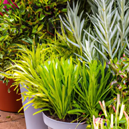 Create a Lush Oasis with Container Gardening for Urban Dwellers