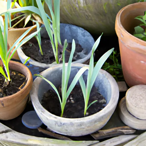 Cultivate a Green Thumb with Container Gardening