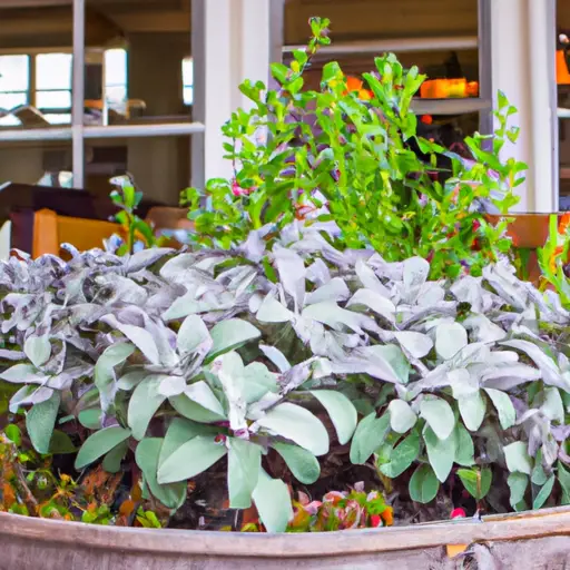 Cultivating Tranquility at Your Fingertips: The Serene Art of Container Gardening