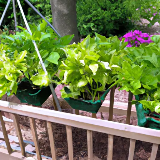 Discover the Endless Possibilities of Container Gardening