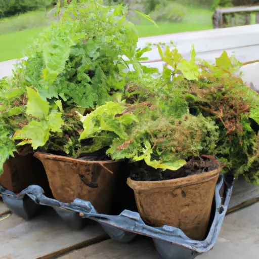 Discover the Joy of Growing Native Plants in Containers