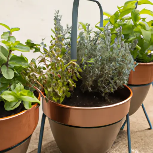 Discover the Joys of Container Herb Gardening: A Fragrant Experience