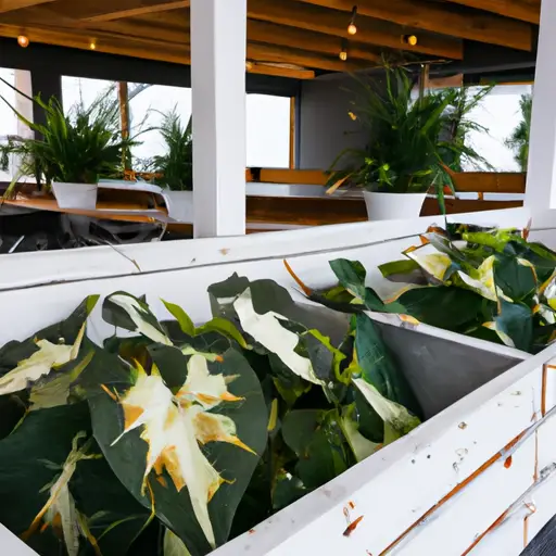Elevate Your Outdoor Dining Experience with Beautifully Designed Deck Planter Boxes