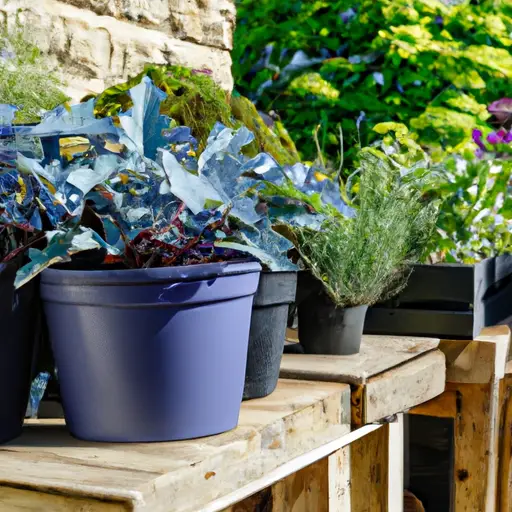 Elevating Outdoor Spaces with Containers: Design Tips for Garden Enthusiasts