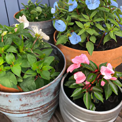 Enhance Your Home with a Gorgeous Container Garden Display