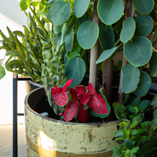 Enhance Your Home's Ambiance with Container Gardens