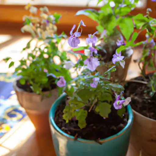 Enhancing Your Home with Container Gardening