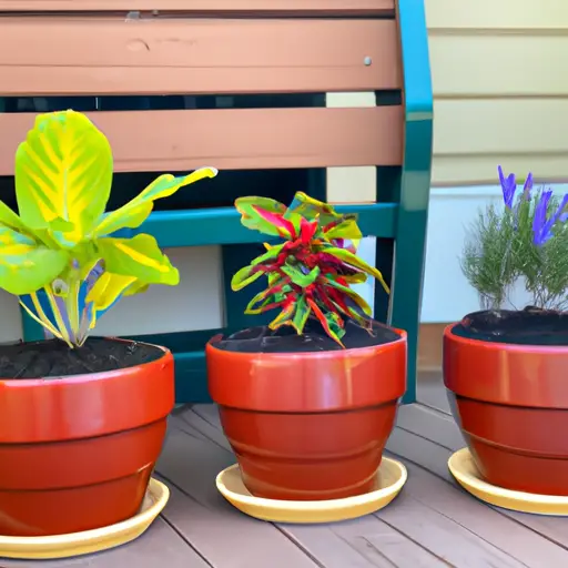 Enhancing Your Patio with Container Gardens