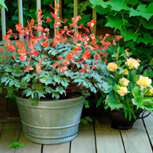 Express Your Style with Whimsical and Colorful Outdoor Container Gardens