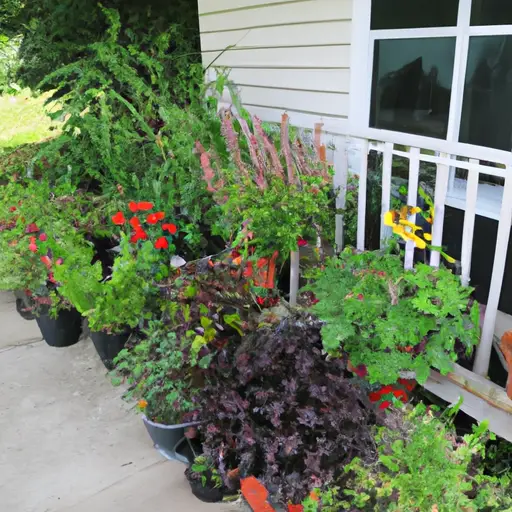 Express Yourself through Colorful Container Gardens