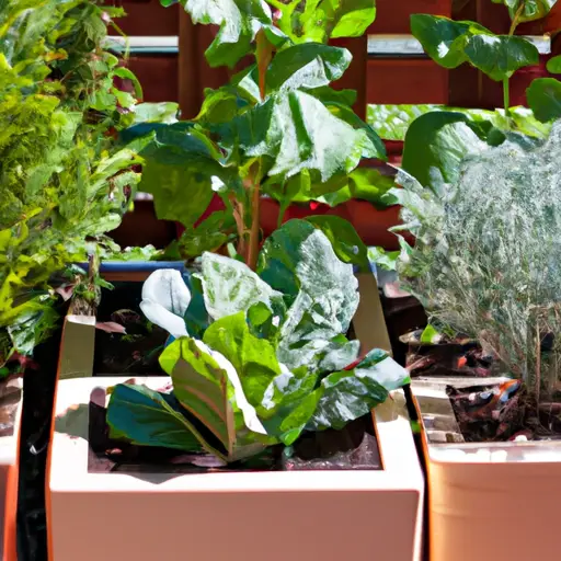From Patio to Plate: Growing Your Own Food with Container Gardens