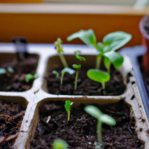 From Start to Finish: Simplifying the Process of Growing Plants in Containers