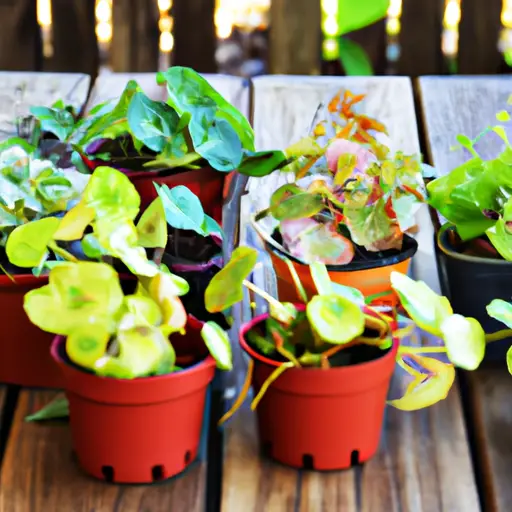 Green Thumb on the Go: Tips for Traveling Gardeners with Containers
