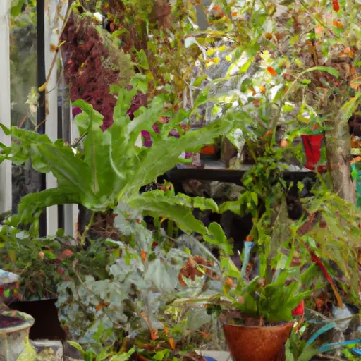 Growing Tropical Plants in Containers: Bring Paradise to Your Backyard