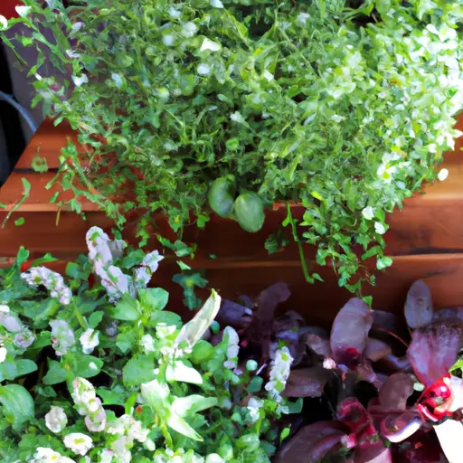 Growing Your Own Paradise: The Joy of Container Gardening