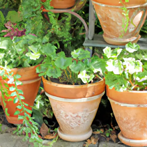 How to Choose the Perfect Containers for Your Garden Needs