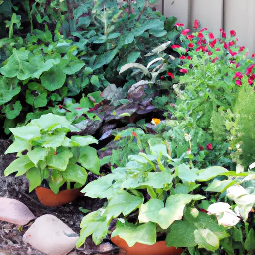 How to Create a Lush Oasis through Container Gardening