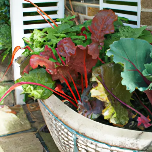 How to Maintain and Care for Your Container Garden
