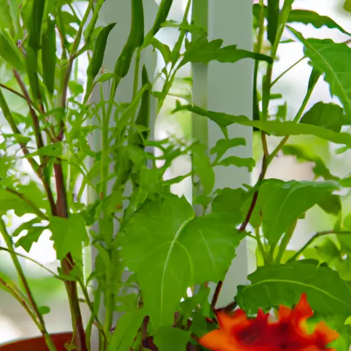 Mastering the Basics of Successful Container Gardening