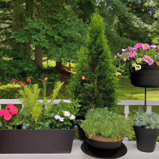 Spruce Up Your Patio with a Vibrant Container Garden Showcase