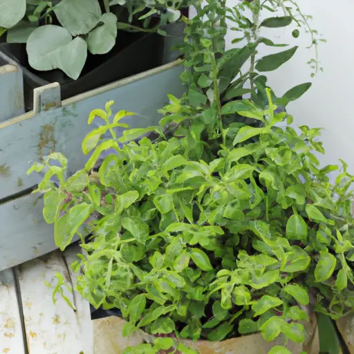 Spruce up Your Balcony or Terrace with Lush container gardens