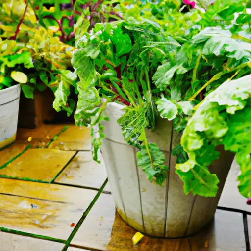 Sustainable Living Made Easy Through Organic Container Gardens