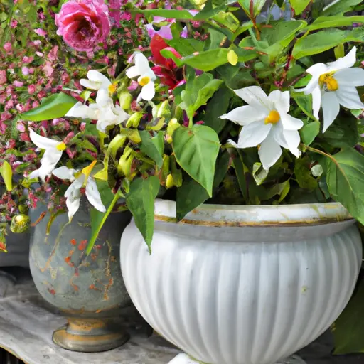 The Art and Science of Container Gardening: Tips and Tricks Revealed