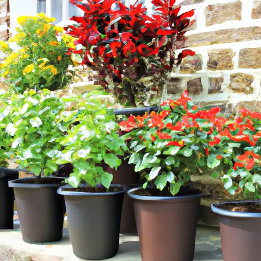 The Art of Choosing the Right Containers for Your Garden