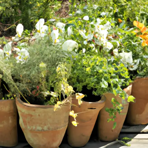 The Benefits of Container Gardening for Busy Individuals
