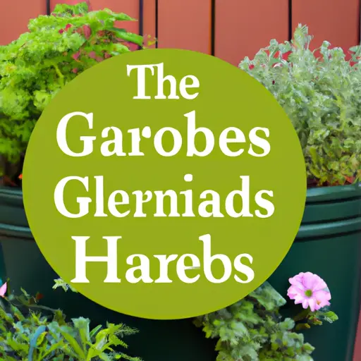 The Foodie's Guide to Container Herb Gardens