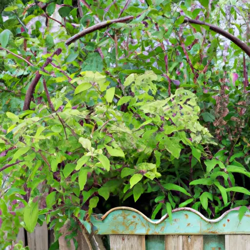 The Therapeutic Power of Container Gardening: Relaxation at your Fingertips