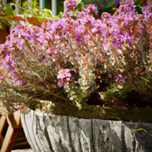 The Zen of Container Gardening: Finding Peace in Green Spaces