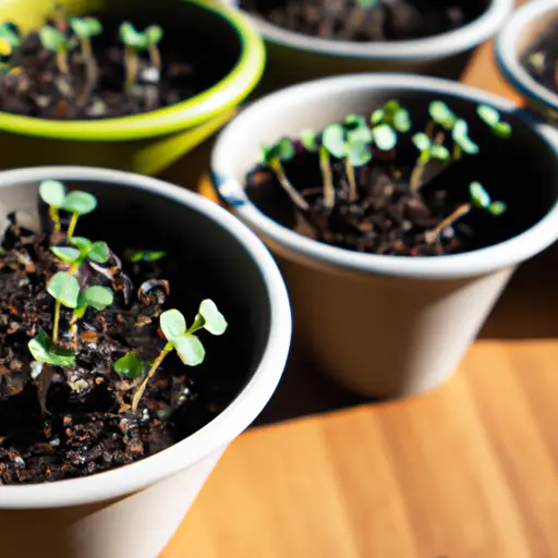 Unearth the Joy of Growing Edibles in Containers