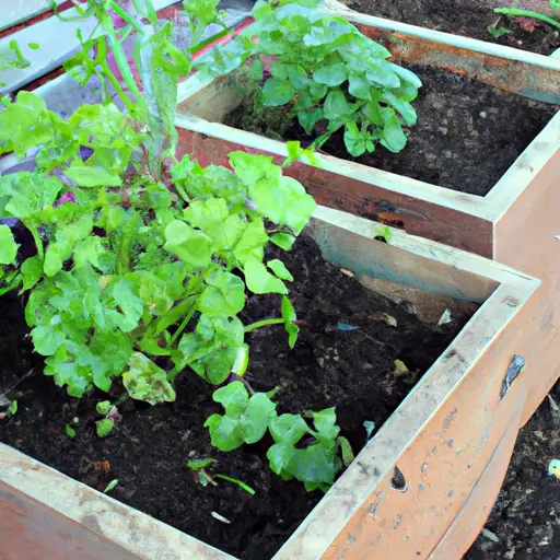 Unraveling the Secrets of Successful Container Vegetable Gardening