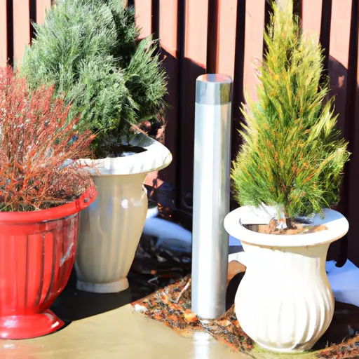 Year-Round Beauty: Creating an Evergreen Oasis with Containers