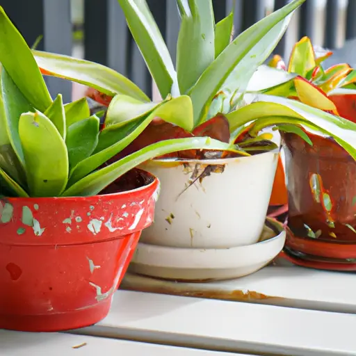 Creating a Sustainable Lifestyle with Container Gardening