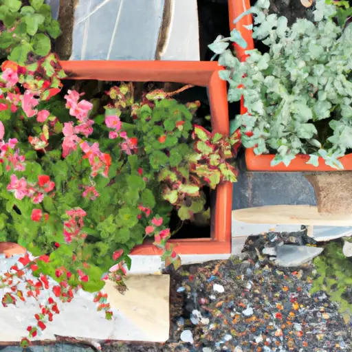 Cultivating Tranquility: Finding Serenity through Container Gardens