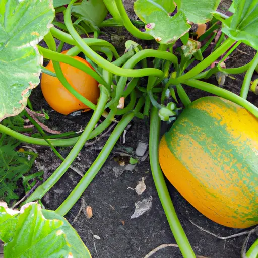 The Essential Steps for Successfully Cultivating Fruits and Vegetables