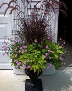 Container Gardening with Perennials - Enjoy Container Gardening