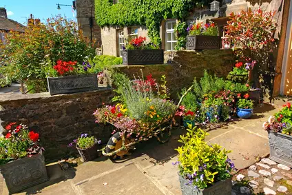 Butterfly Gardening In Containers Enjoy Container Gardening