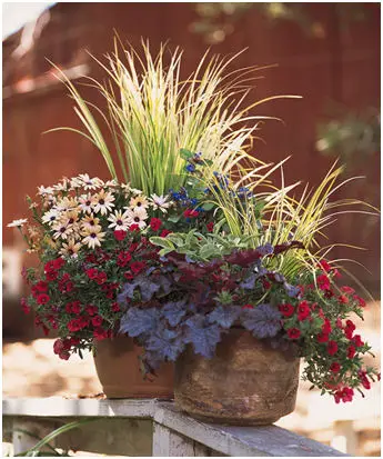 Using texture in container garden designs.