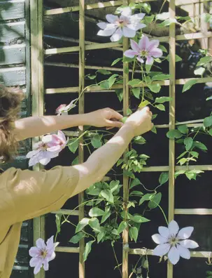 Make a privacy screen with plants.