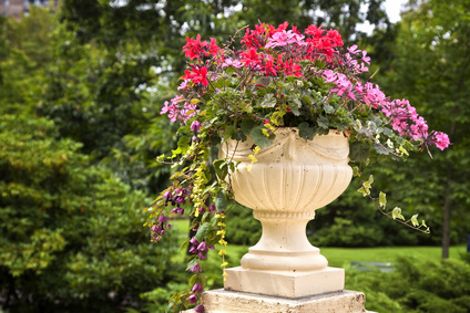 Container garden design in a formal urn